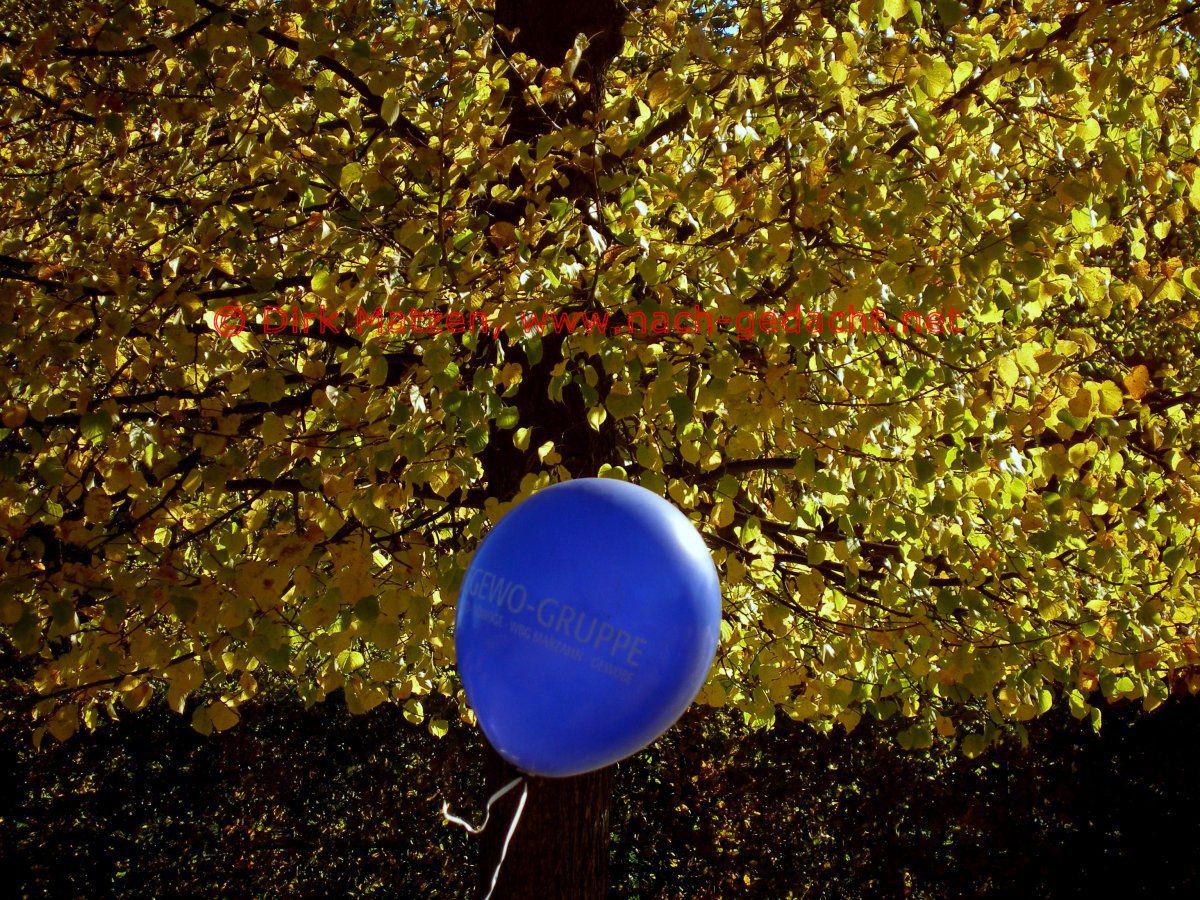 Berlin, Luftballon vor Baum