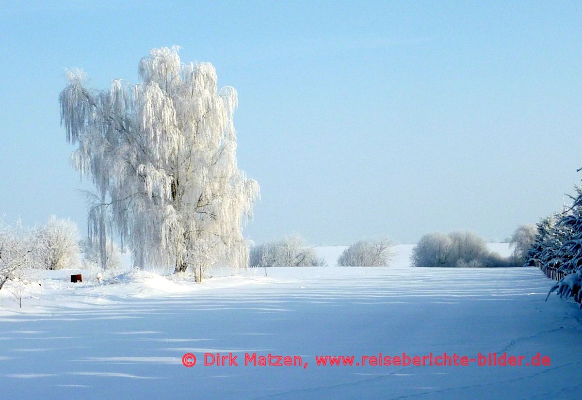 Garzin, Baum im Winter