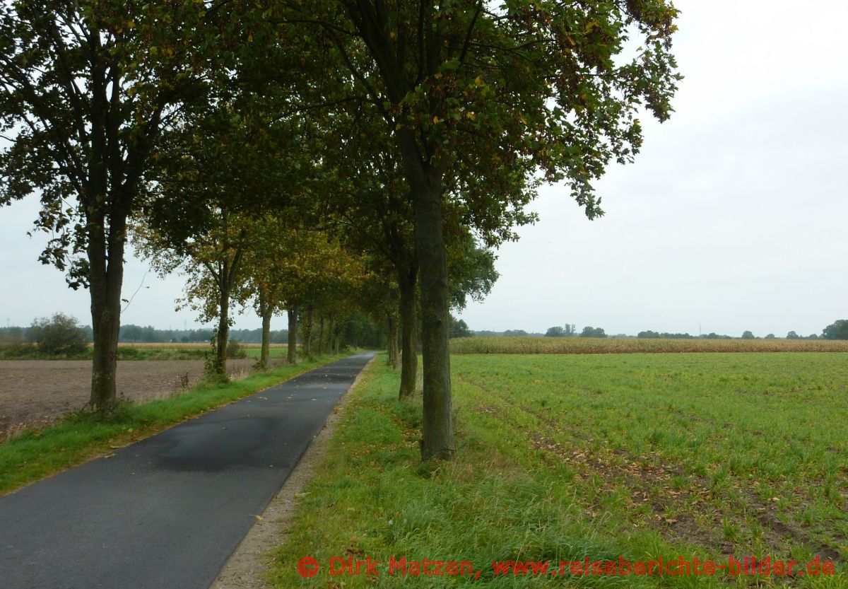 Vechtetal-Route, Haddorfer Seen