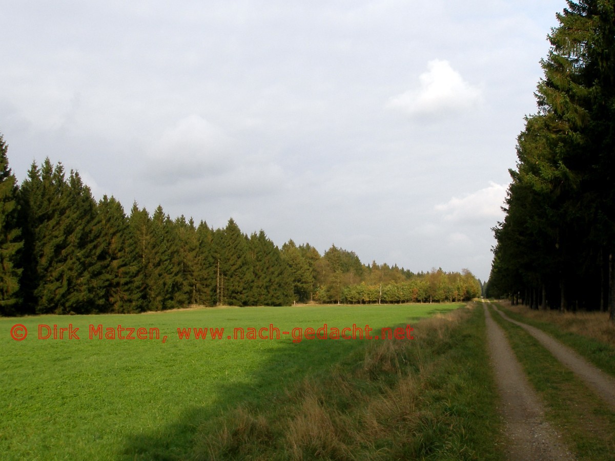 Grenzroute, Waldweg in der Frslev-Plantage