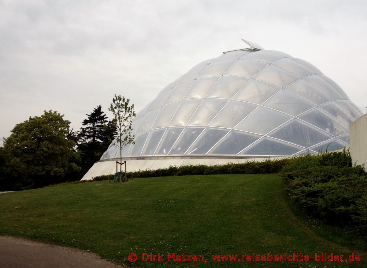 Aarhus, Botanischer Garten, Gewchshaus