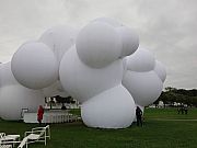 Aarhus, ausstellung-the-garden