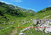 hochtal-nicken-alpe