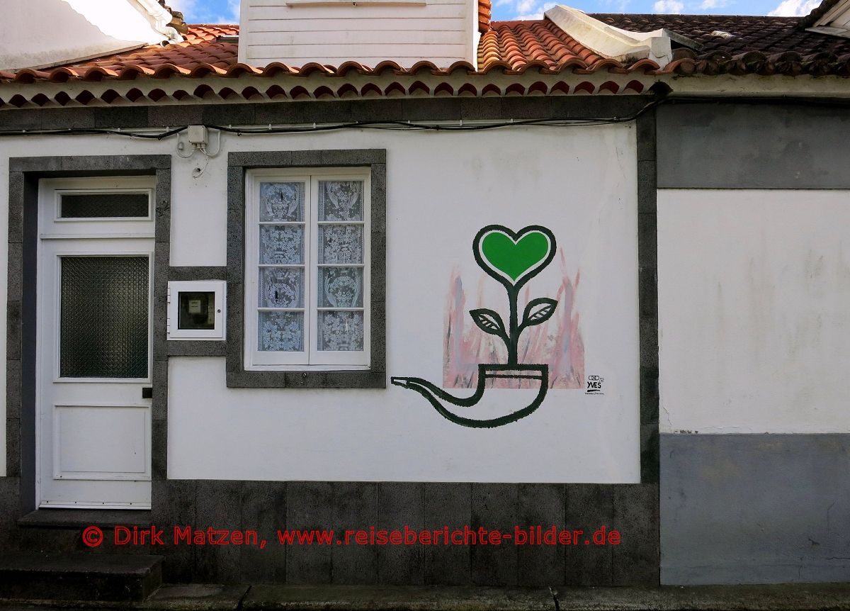 So Miguel, Furnas, Herzblume