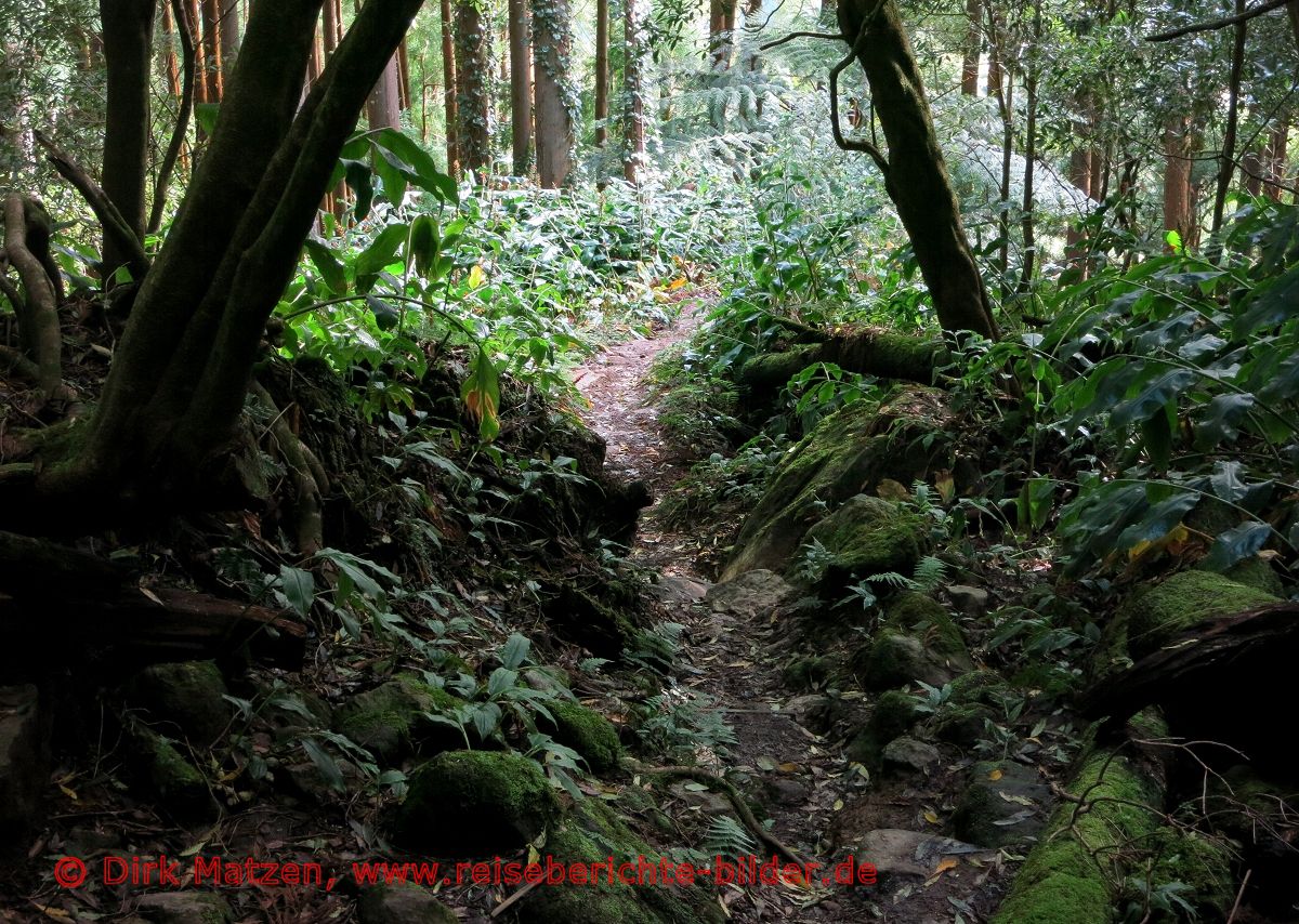 So Miguel, Furnas Wanderweg zum Pico do Ferro