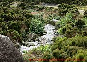 wanderweg-lagoa-do-fogo