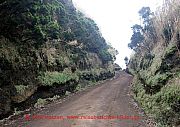 sao-miguel-wanderweg-bei-mosteiros