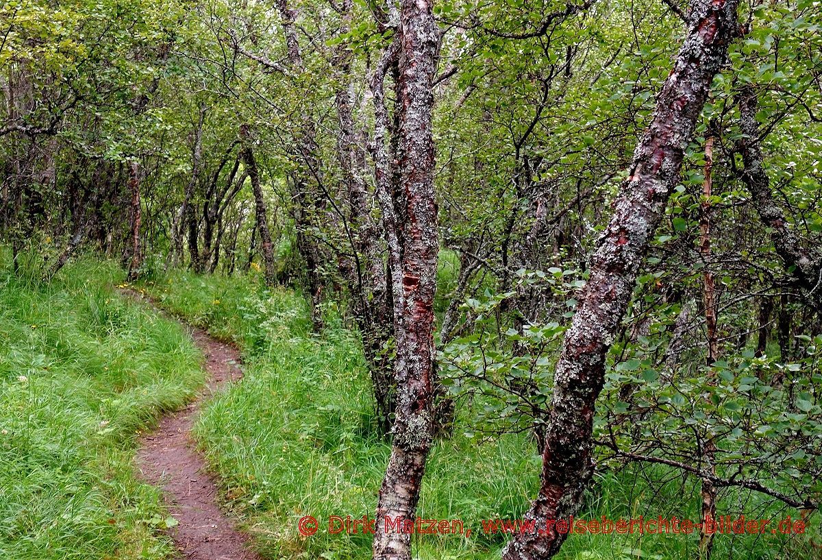 Bod, Bremnes fort, Wanderweg