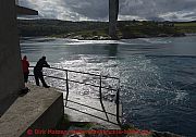 saltstraumen-zuschauer