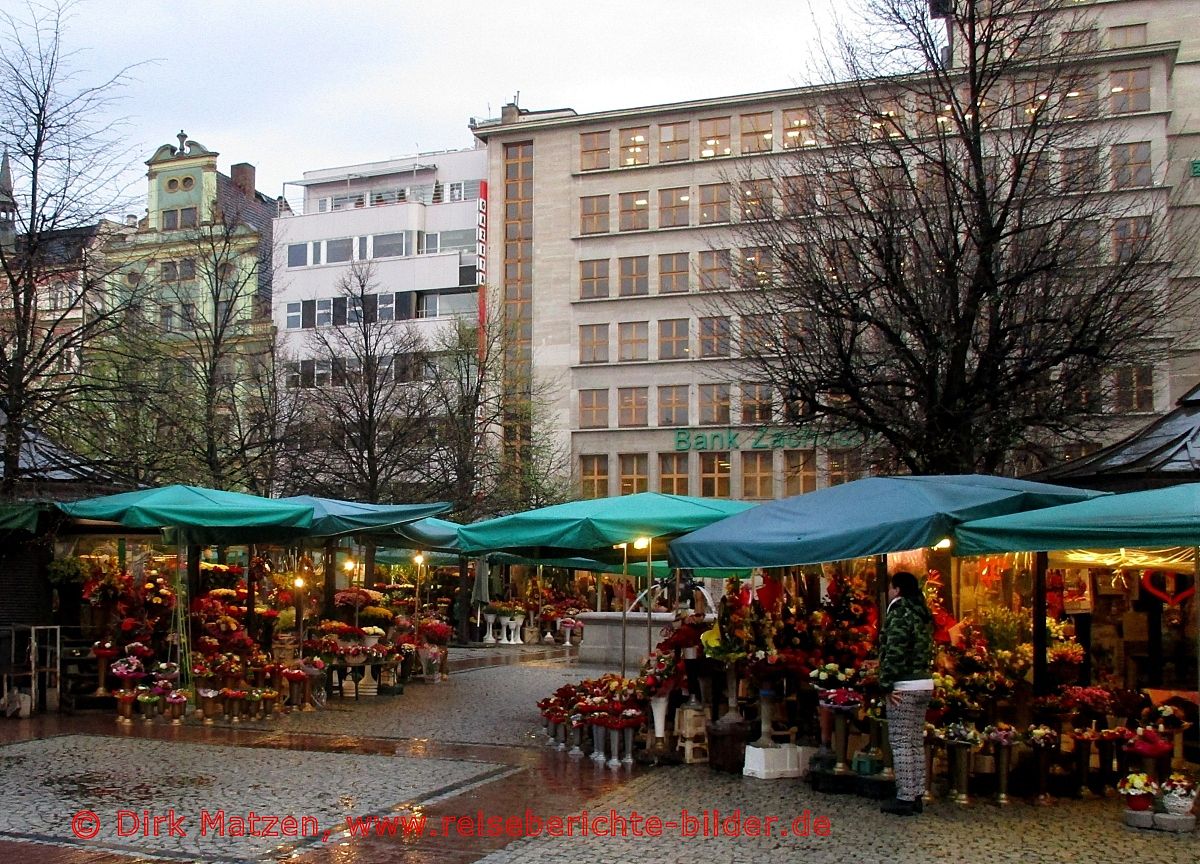 Breslau, Salzmarkt Blumenstnde