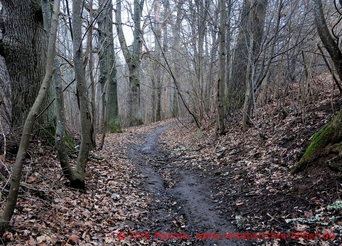 Cesis, Wanderweg im Wald