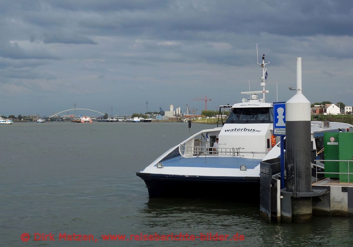 Dordrecht, Waterbus in Dordrecht
