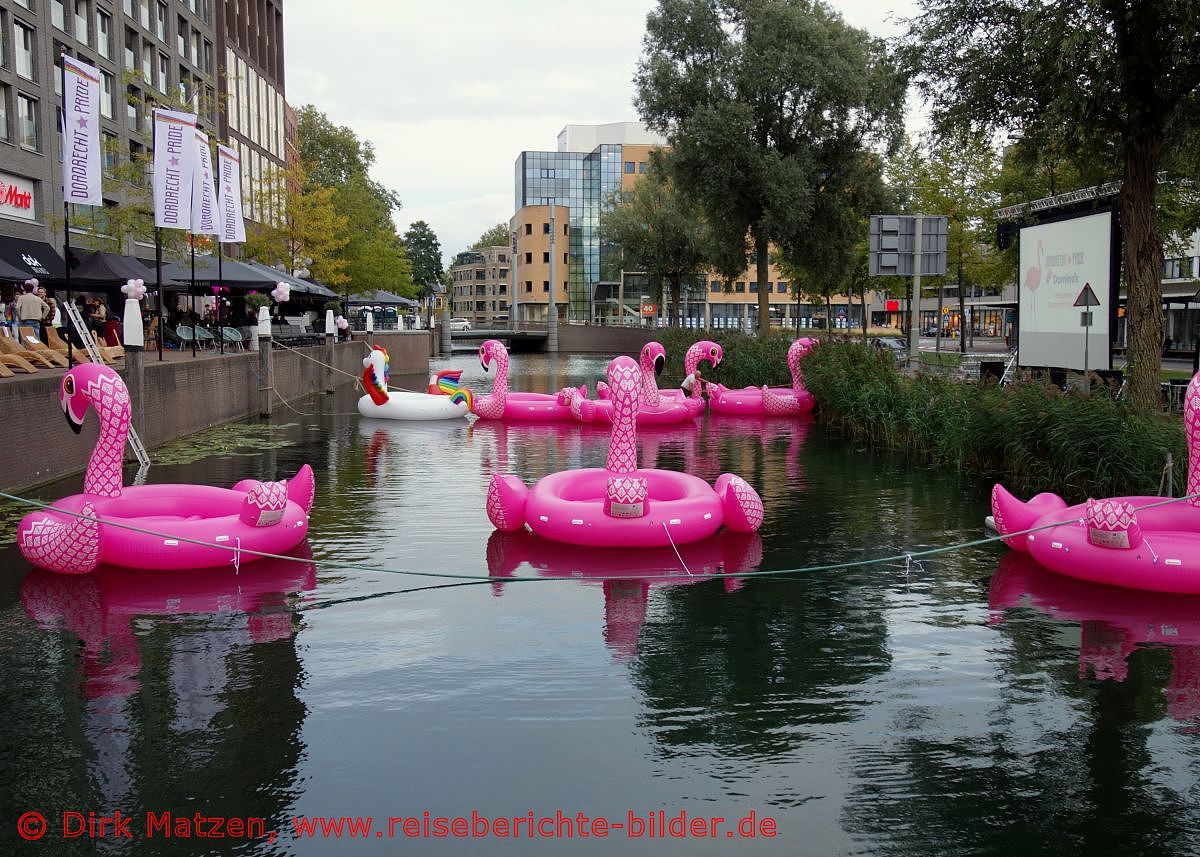 Dordrecht, Dordrecht-Pride