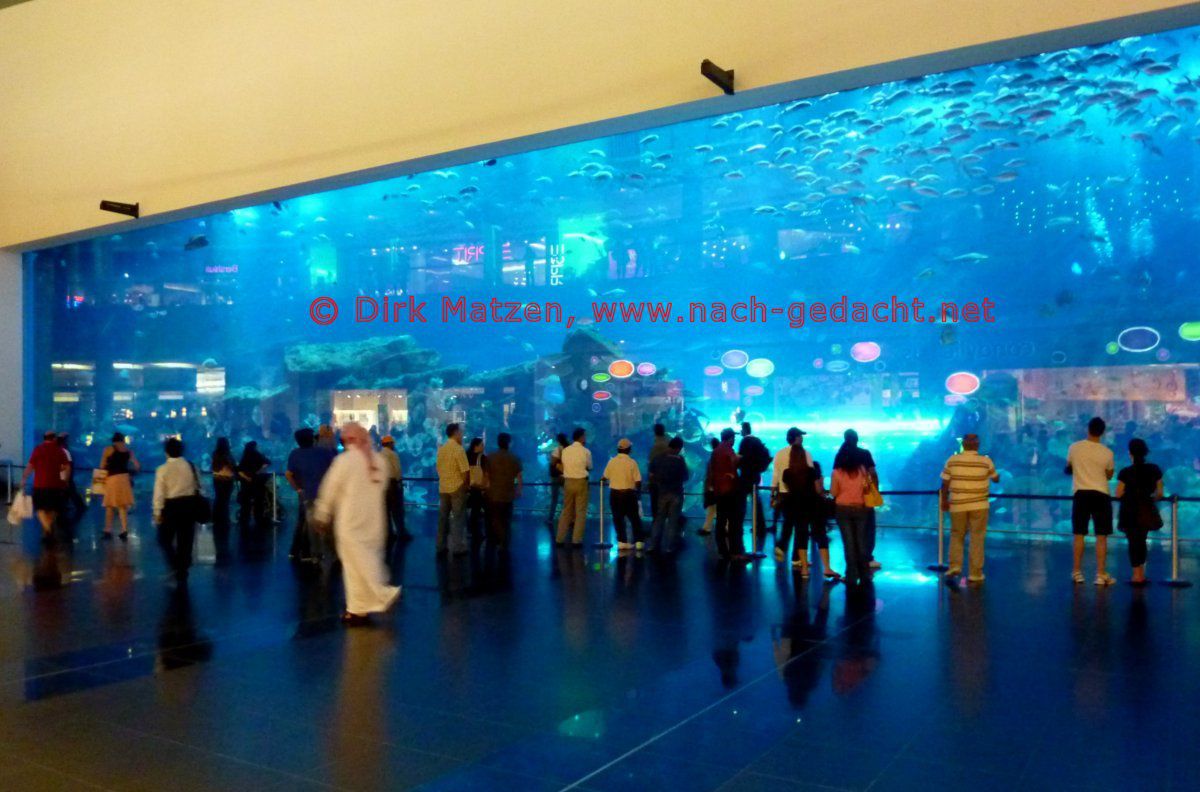 Sichtfenster im Dubai-Aquarium