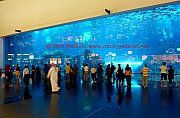 Dubai, aquarium_sichtfenster