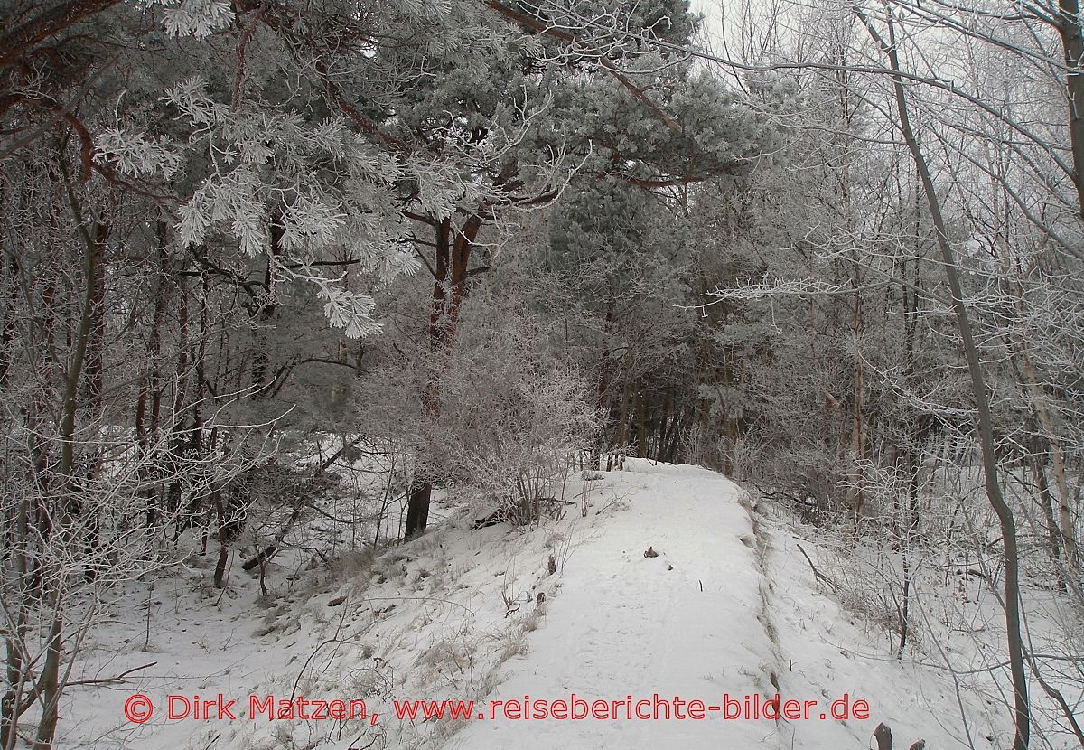 Hel, Waldweg an der Kste