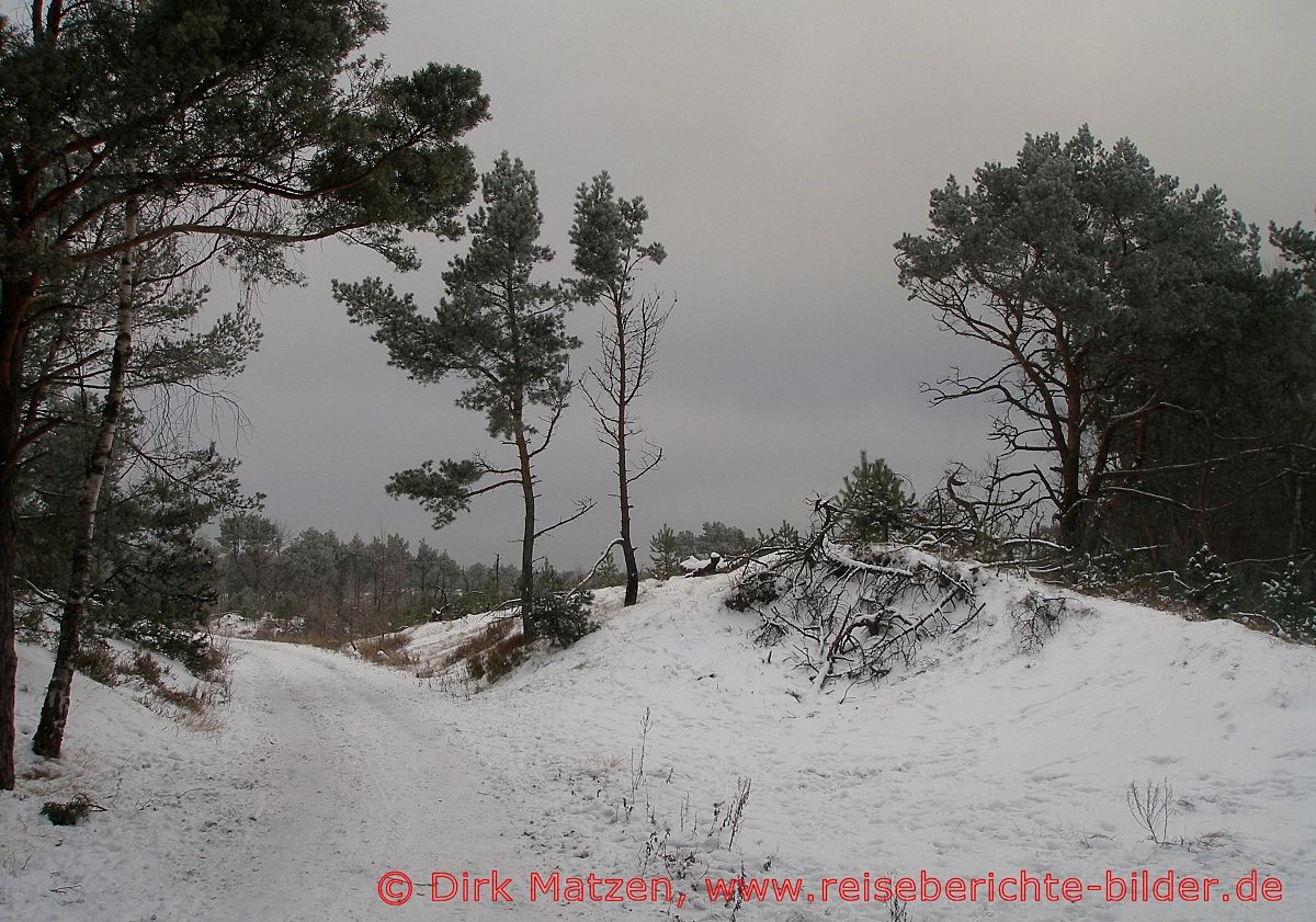 Hel, Waldlichtung