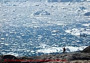 ilulissat-fotograf-am-eisfjord