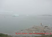 ilulissat-nebel-an-der-kueste