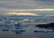 ilulissat-eisberge