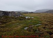 ilulissat-wanderweg-im-wasser