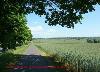 Bilderserie Oderbruchbahn-Radweg