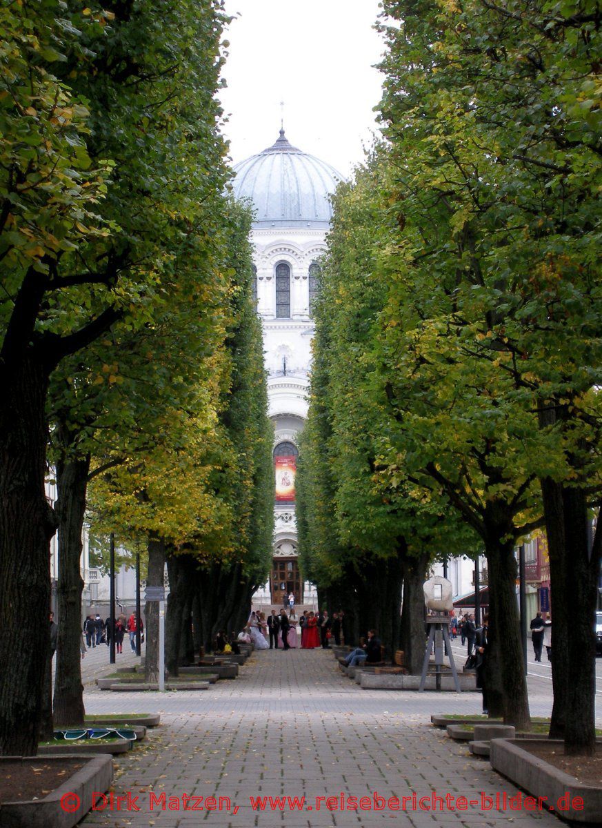 Kaunas, Hochzeitsgesellschaft Laisves Alejy