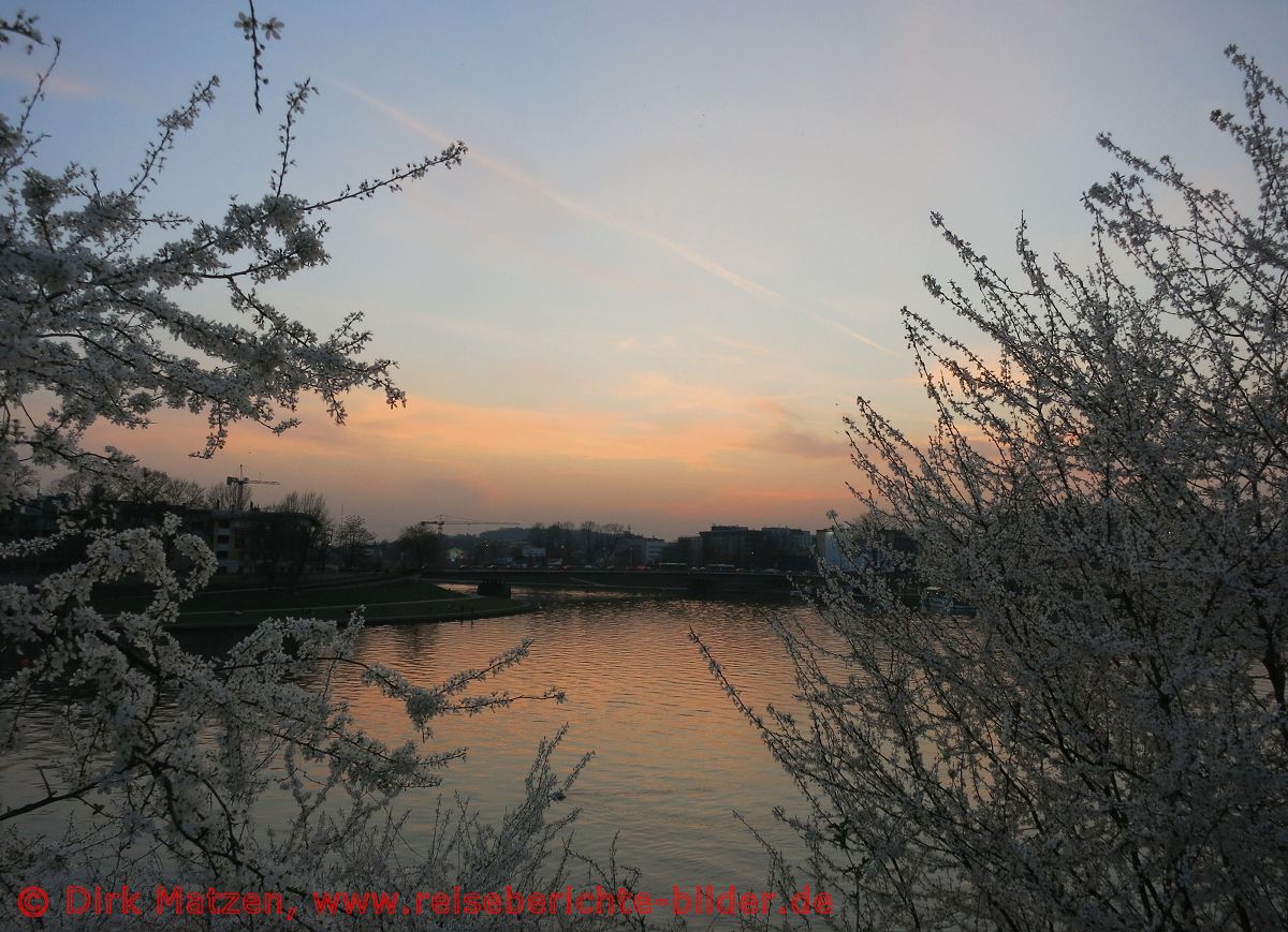 Krakau, Sonnenuntergang Weichsel, blhende Bume