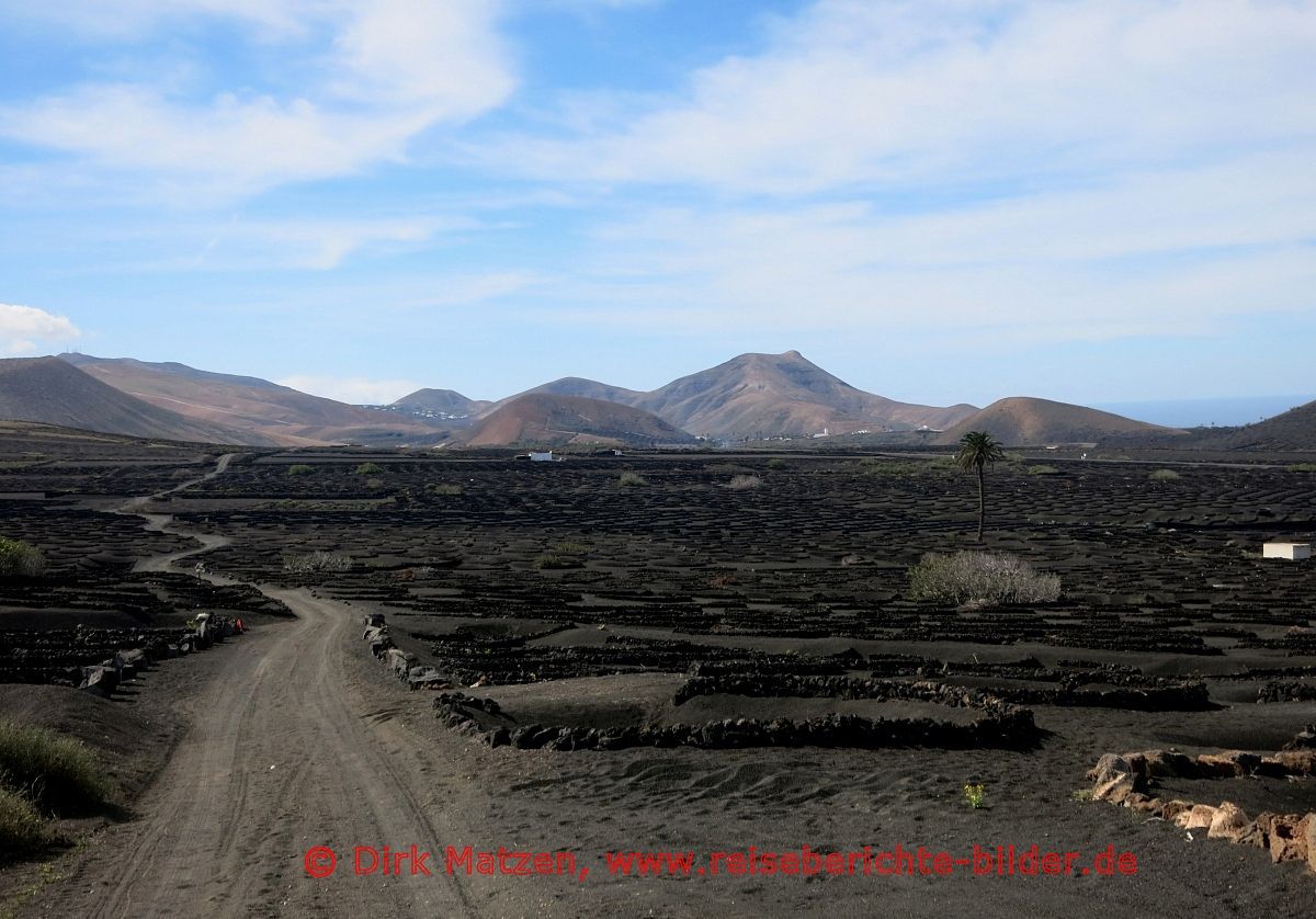 Lanzarote, La Geria