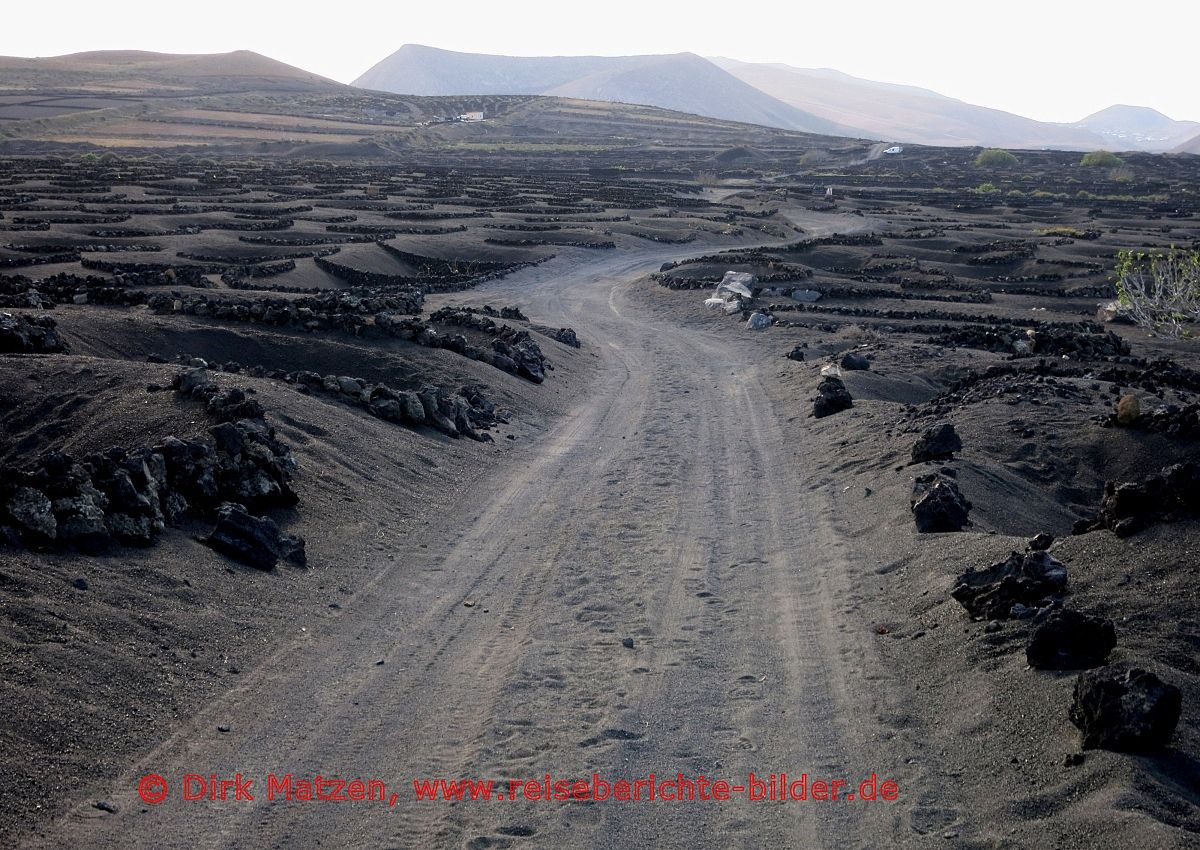 Lanzarote, La Geria