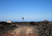 Lanzarote,  einsame-palme