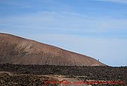 Lanzarote,  palme-lavameer