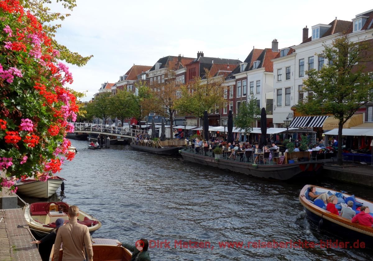 Leiden, Nieuwe Rijn