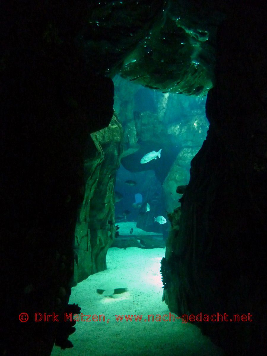 Lissabon, Aquariums-Becken