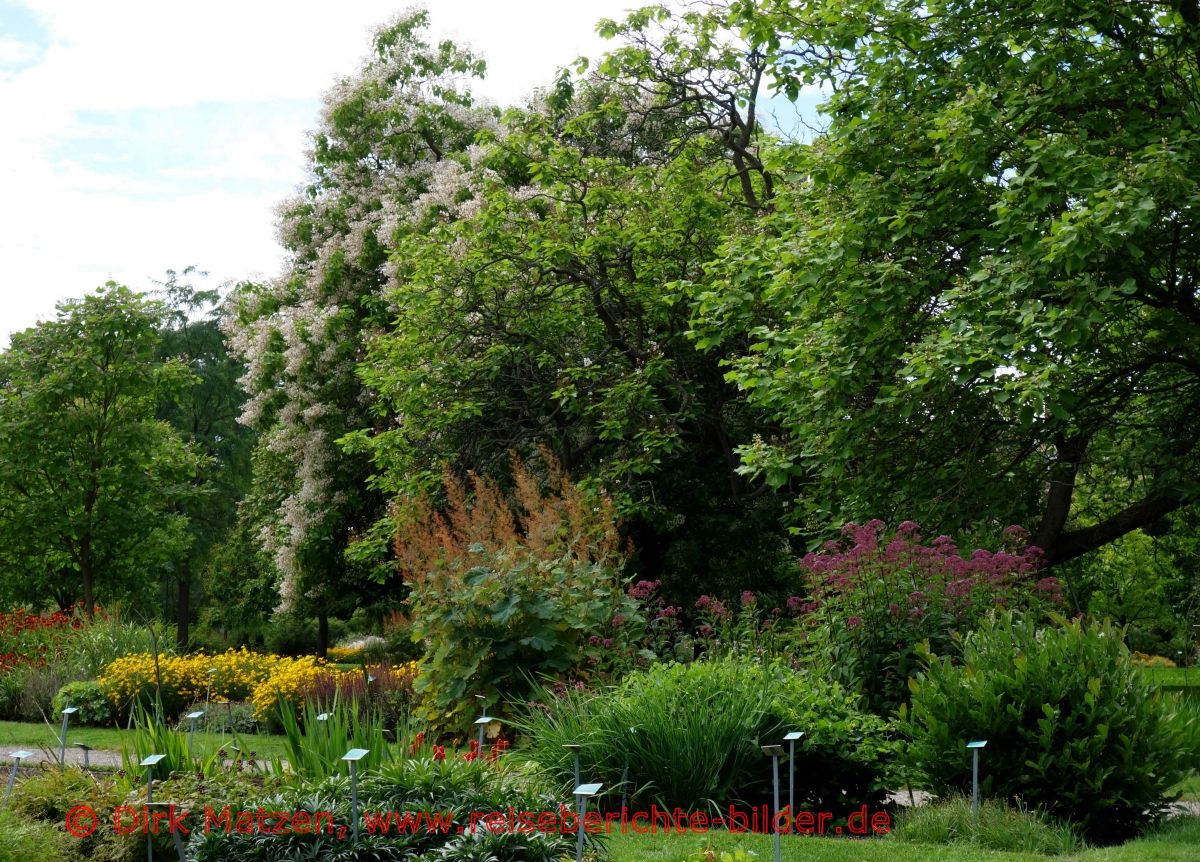 Lund, Botanischer Garten