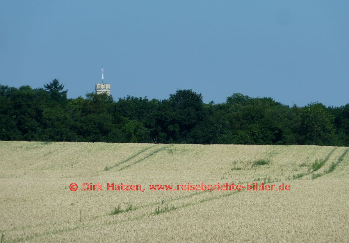 Reichenow, Schlossturm im Sommer