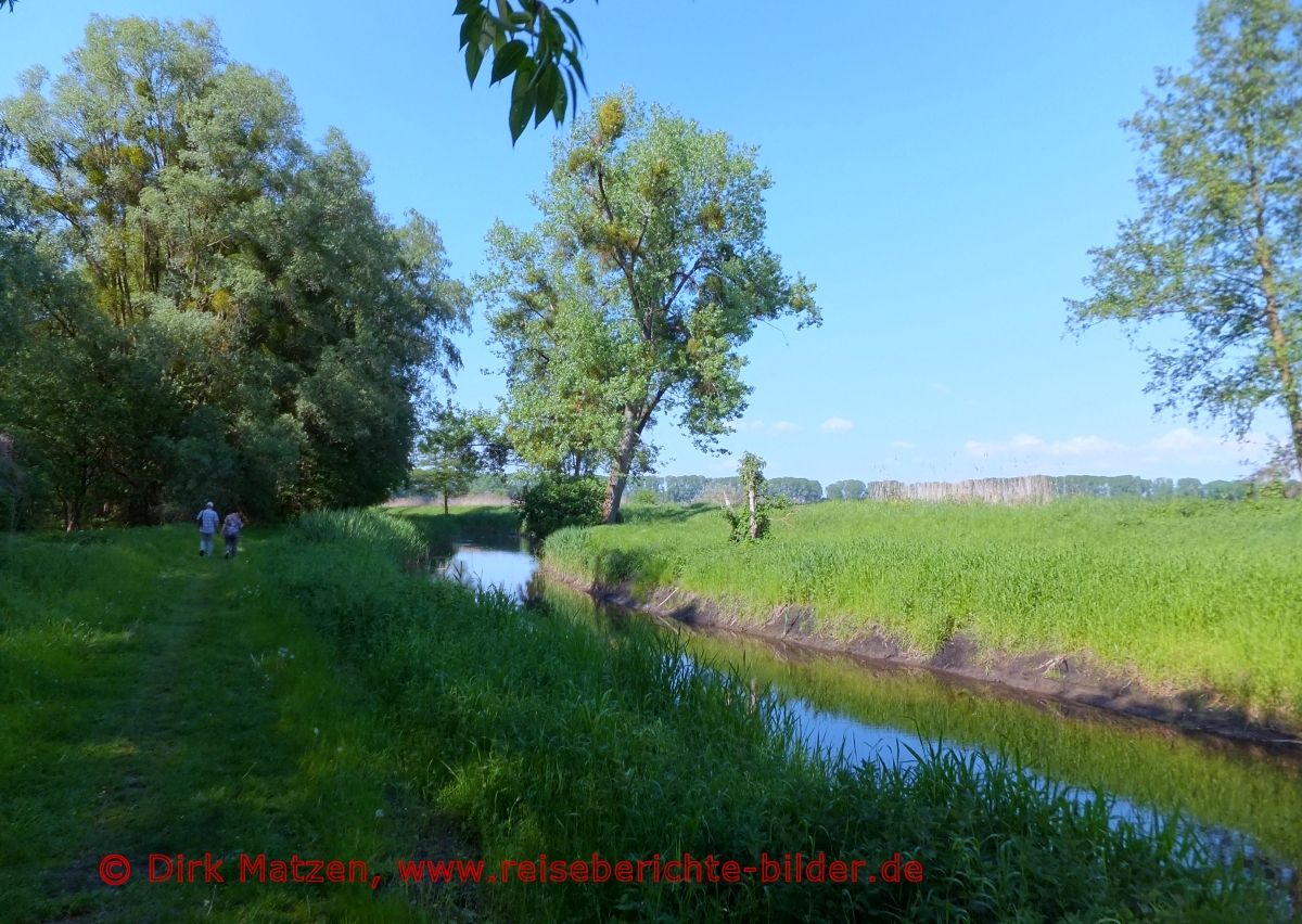 Altfriedland, Stobber