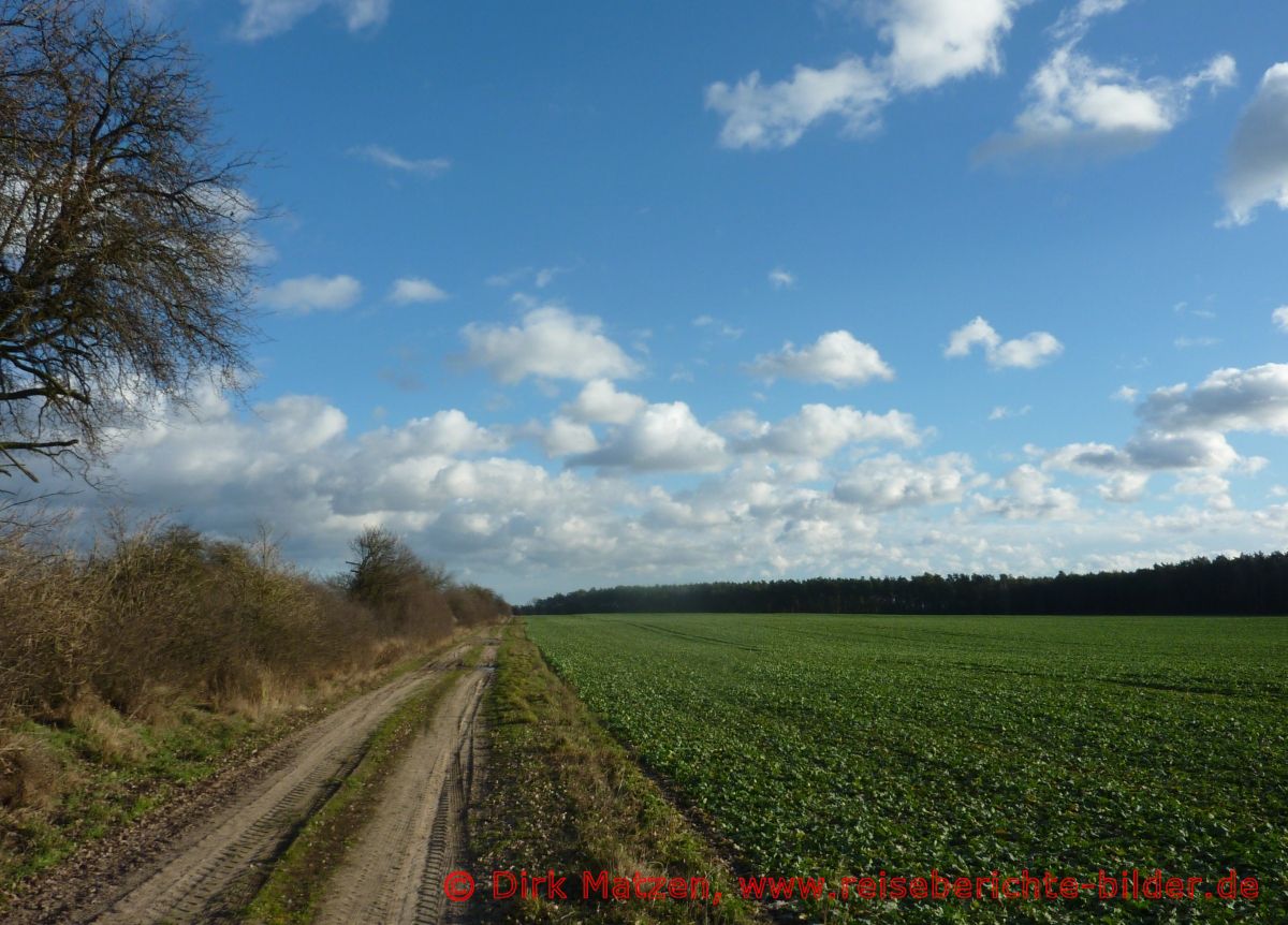 Landschaft Mrkische Schweiz