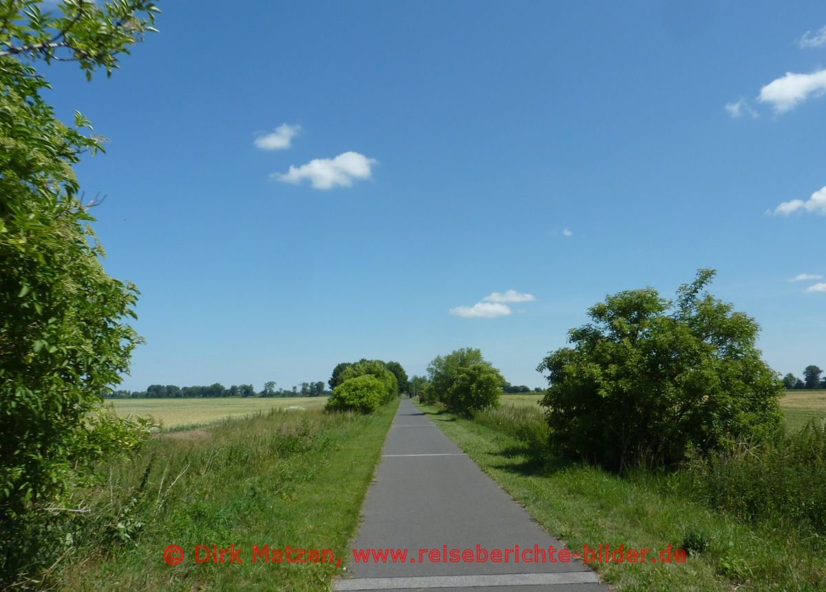 Radweg nach Bienenwerder