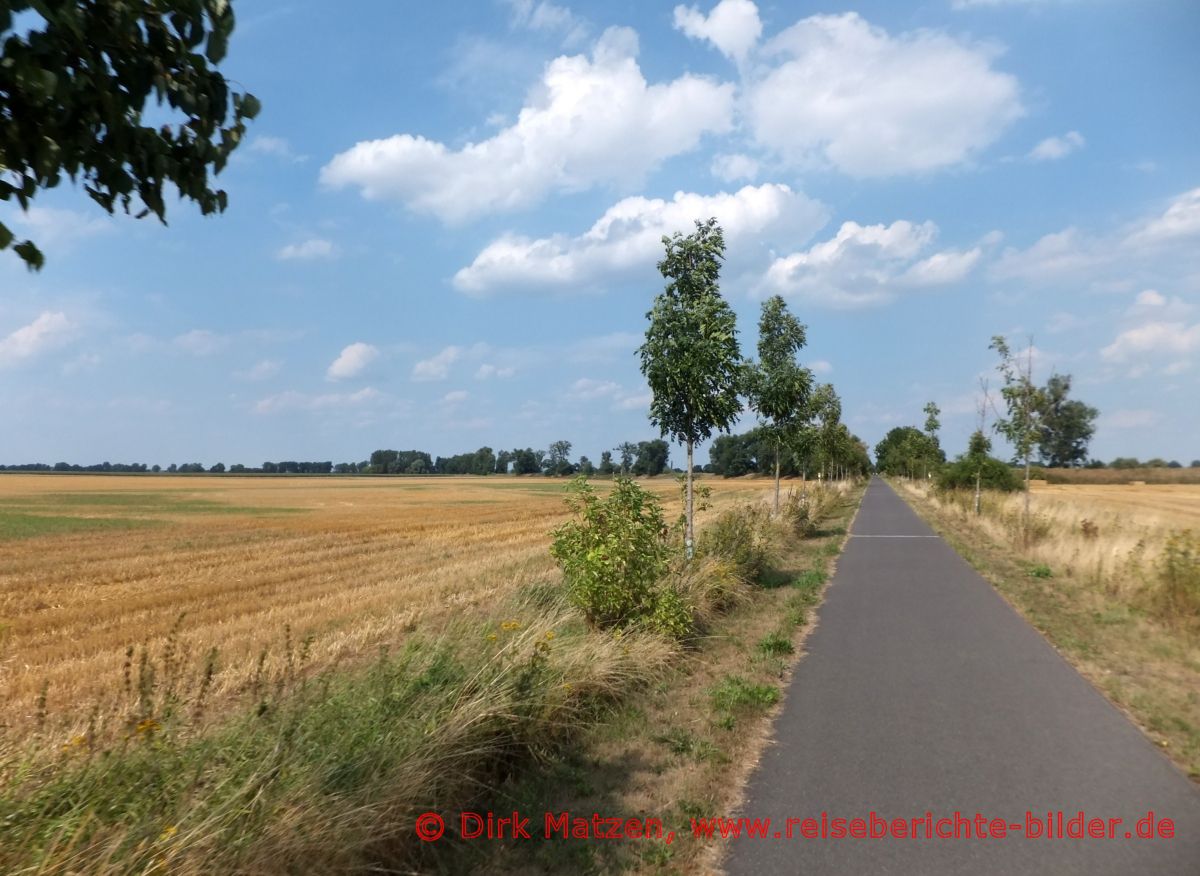 Radweg bei Mdewitz