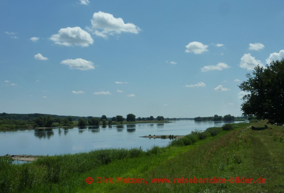 Blick auf die Oder