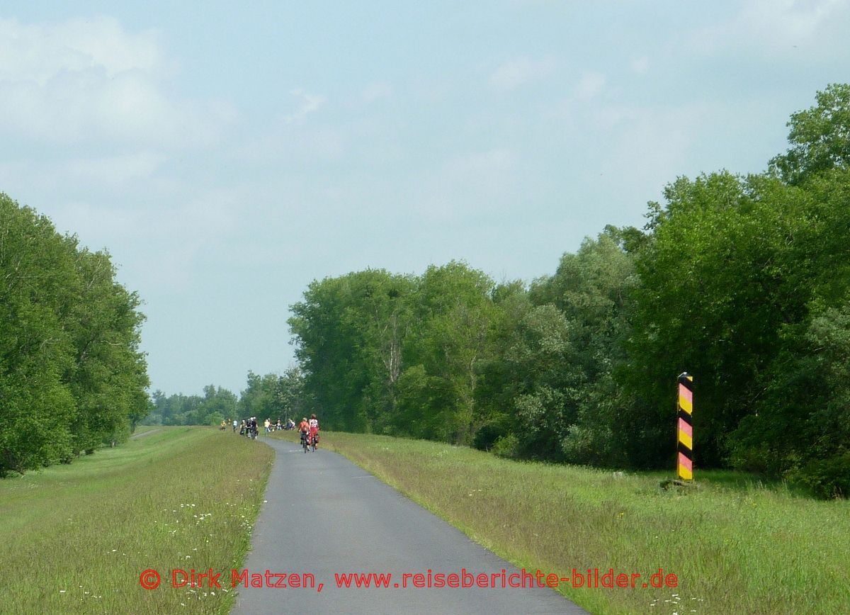 Oderdeich, Radweg