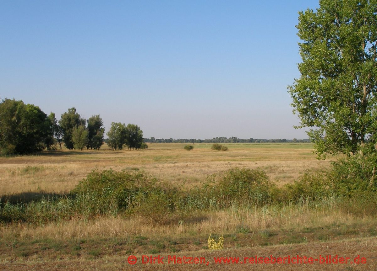 Oderbruch-Blick