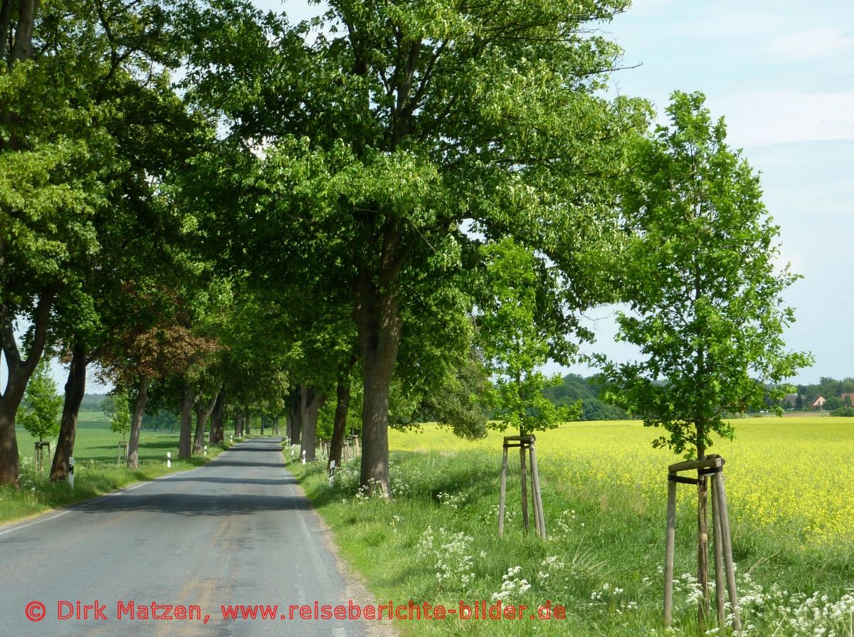Strasse bei Ernsthof