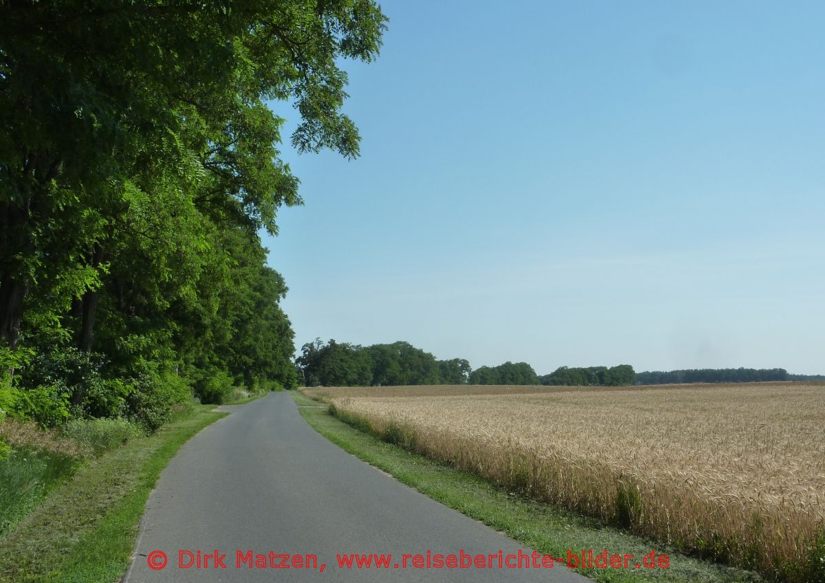 Radweg bei Reichenow