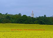 reichenow-schlossturm-fruehjahr