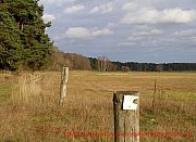 beim-roten-luch