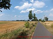 radweg-bei-maedewitz