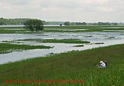 oder-hochwasser