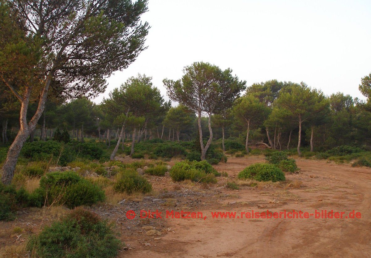 Menorca, Mola de Fornells Wanderweg